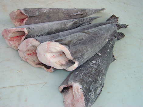 Sablefish